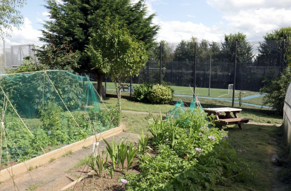 garden with shrubs plants and vegetables