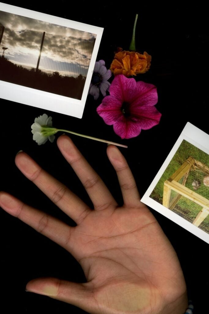 hand photo with pictures surrounding it and flowers