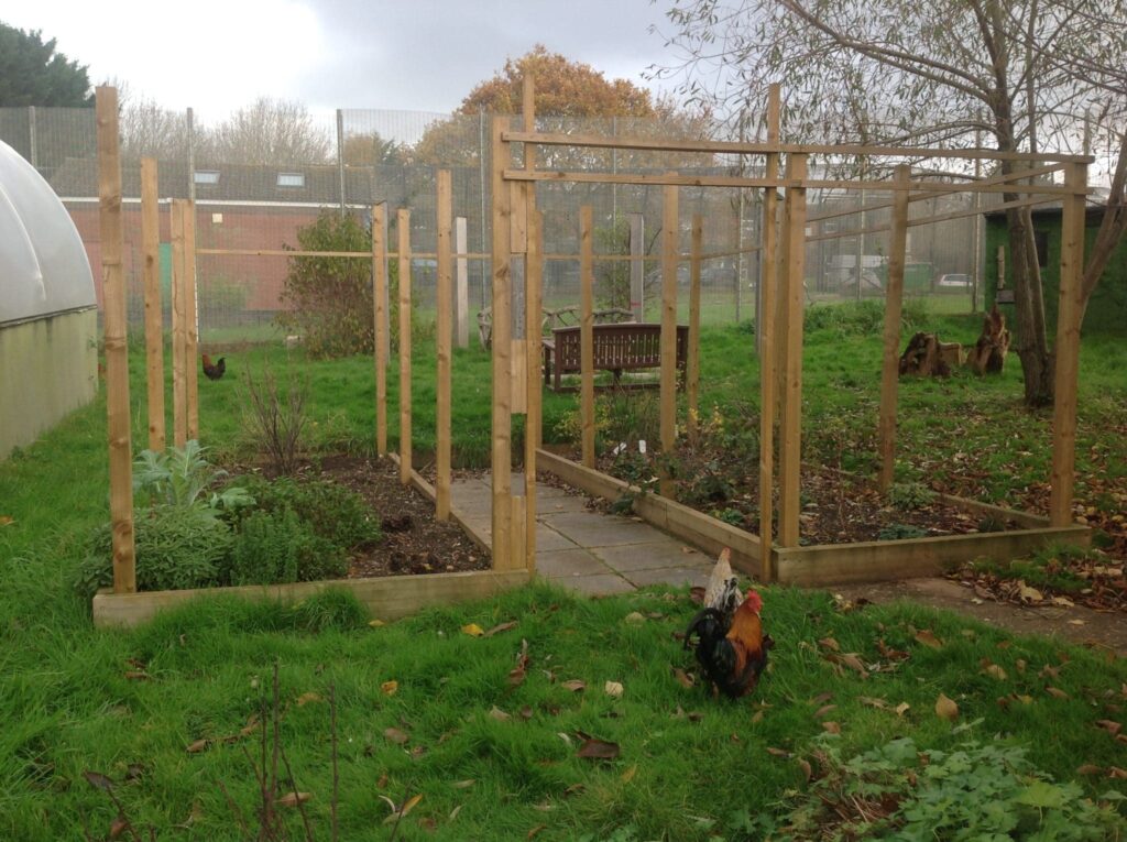 garden with chickens